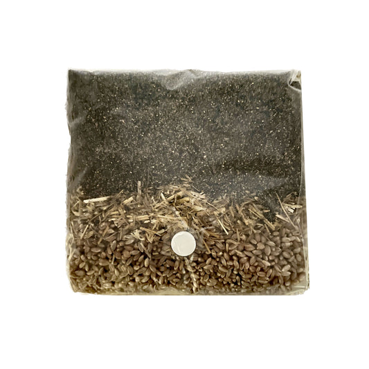 6 pound all in one mushroom grow bag is made with organic rye berries, casing mix.