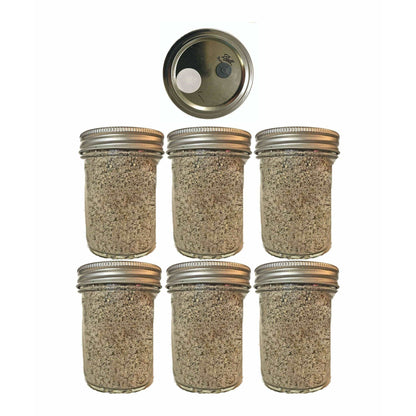 BRF Jars Organic (6 PK) Brown Rice Flour Mushroom Substrate