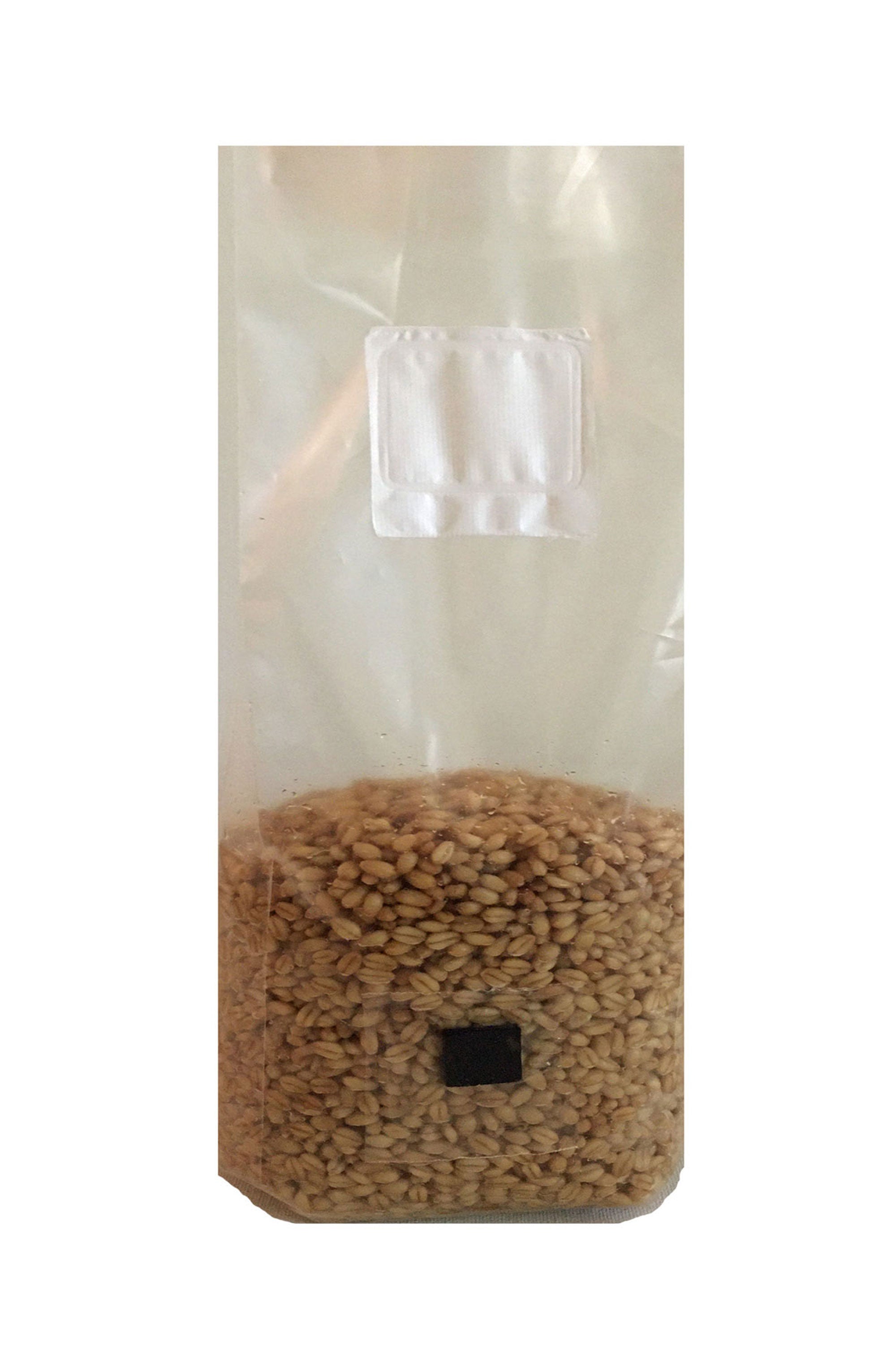 Premium 5-Grain Spawn Bags,
