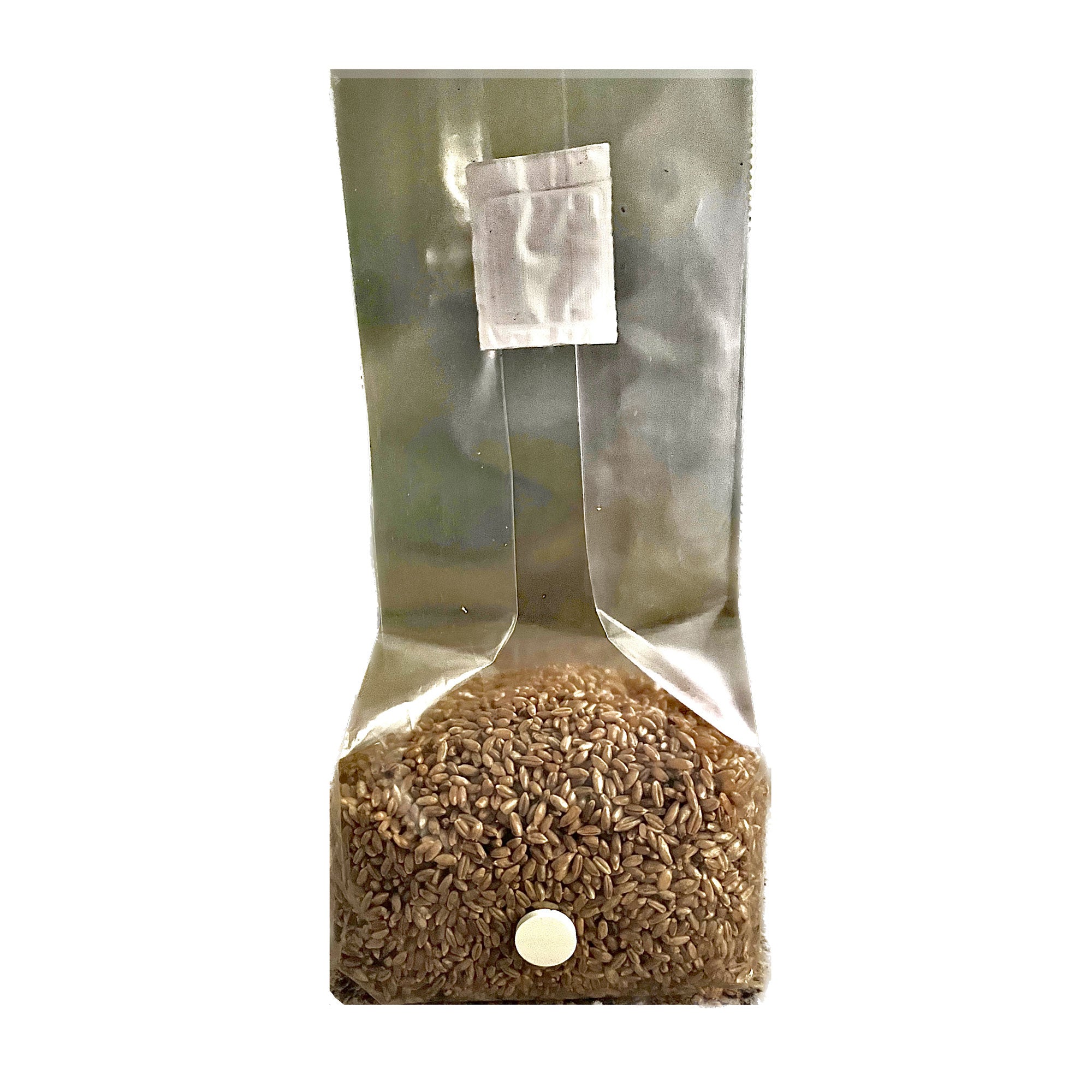 Sterilized Grain Spawn – 3 lbs bags - Spawn Magic