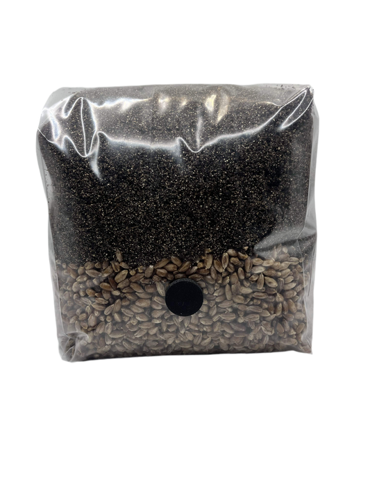 Shroomability brand 3 pound all in one mushroom grow bag with organic rye berries and CVG casing mix.