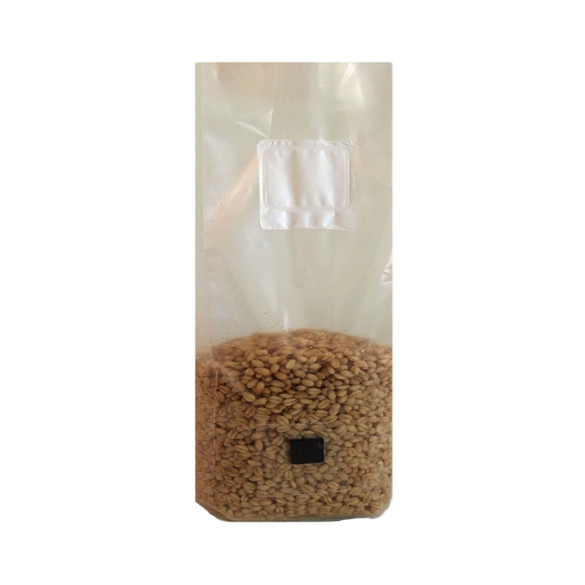 Shroomability brand hard white wheat berry mushroom spawn bag with injection port and .5 micron gas exchange filter