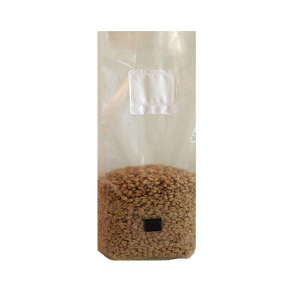 Shroomability brand hard white wheat berry mushroom spawn bag with injection port and .5 micron gas exchange filter