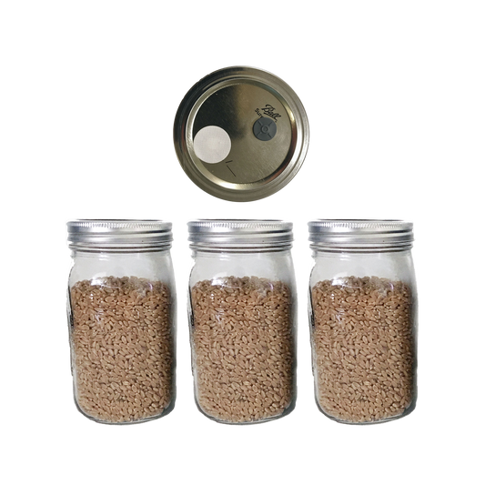 Wheat Berry Mushroom Spawn jars with Injection Port and .5 micron filter