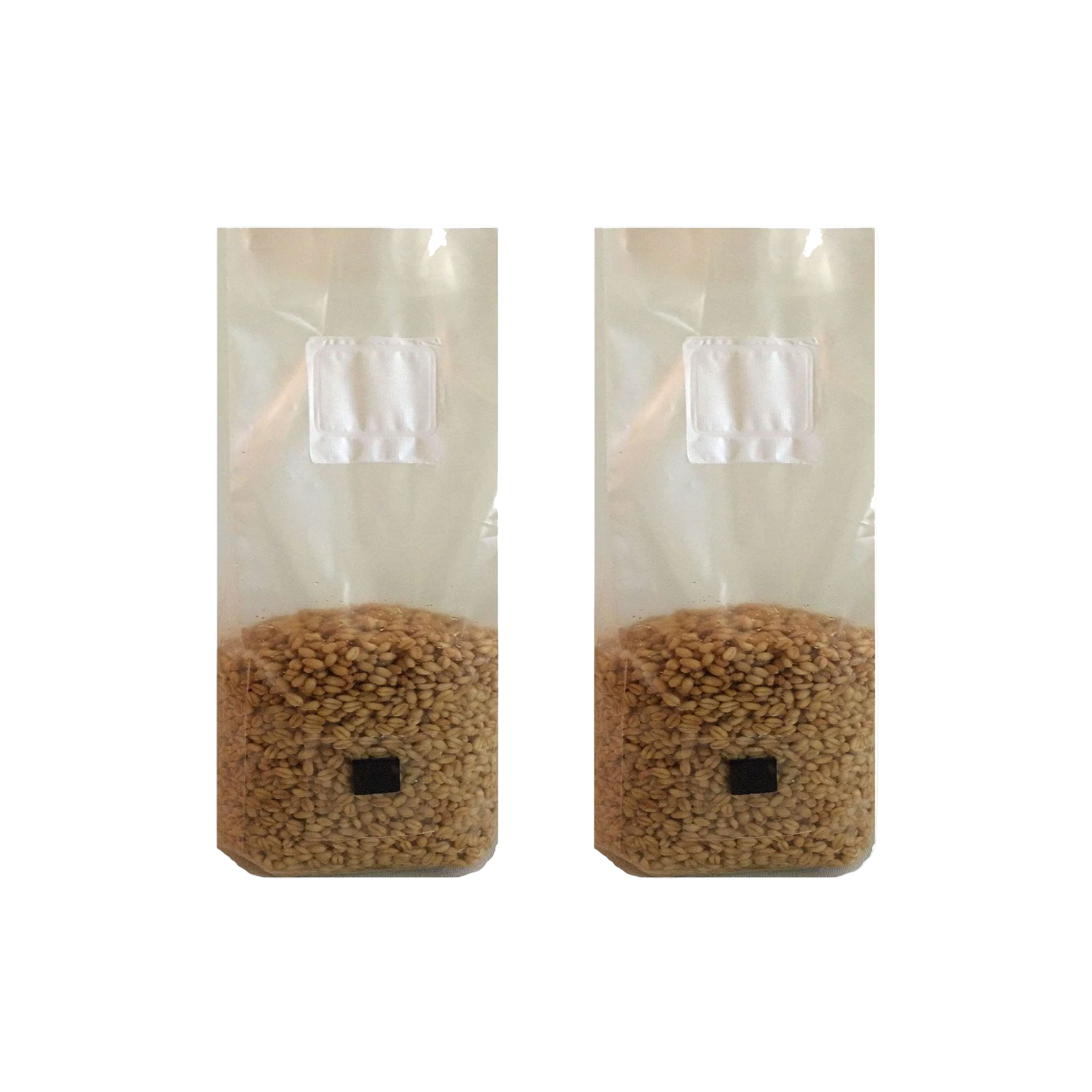 Wheat Berry Mushroom Spawn Bags with Injection Port and .5 micron filter