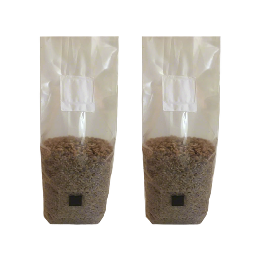 two 2 pound bags of rye berry mushroom substrate spawn bags