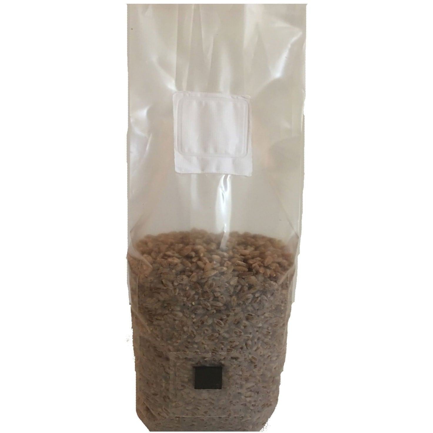Millet Mushroom Spawn Bag 2 lb with Injection Port – Shroomability