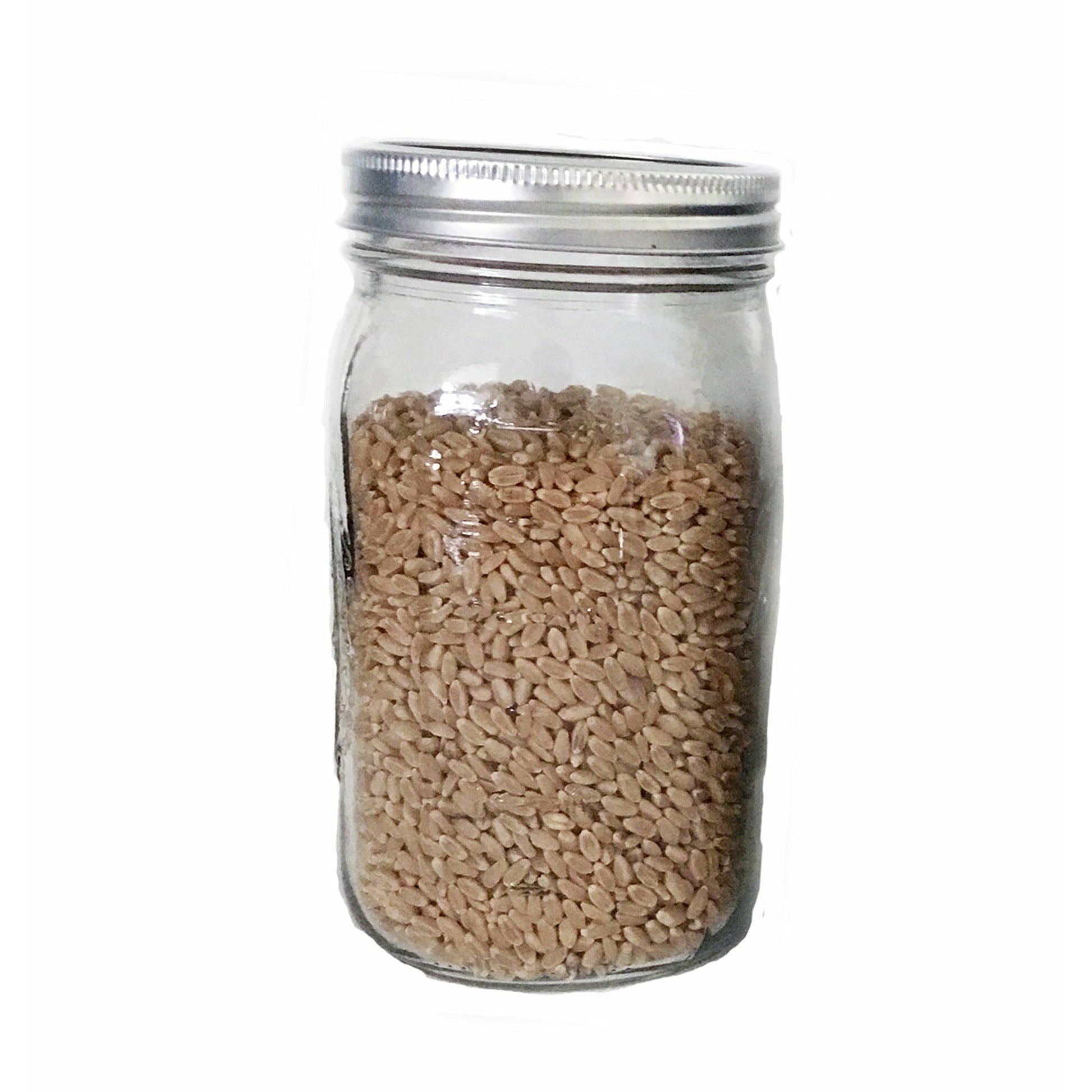 Organic Wheat Berries - Mushroom Grain Spawn Substrate - Quart Jar -  Organic - Sterilized